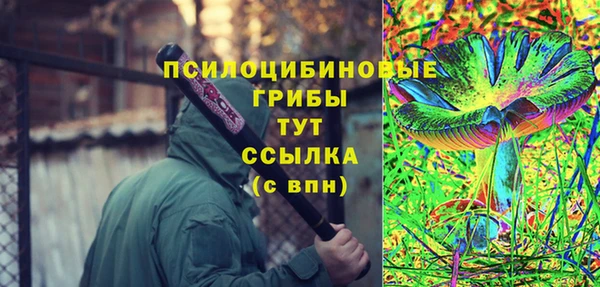 прущие грибы Алзамай