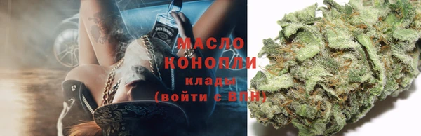 прущие грибы Алзамай