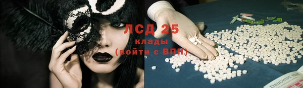прущие грибы Алзамай