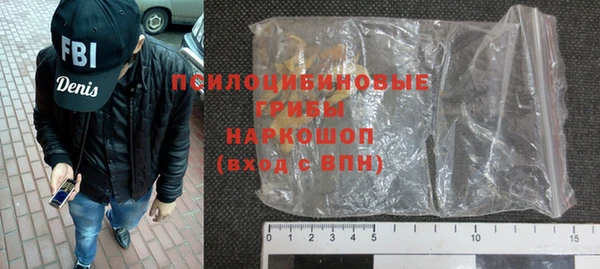 прущие грибы Алзамай