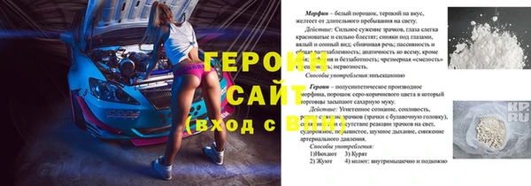 прущие грибы Алзамай